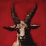 KillaTheGoat